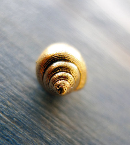 תליןו צדף זהב אמיתי מתנה לאוהבי הים טוליפ שבלול 14 קרט תכשיטים אונליין תליון ריזורט חוף הים מדיטציה בעל משקל